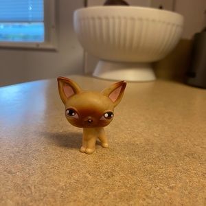 Littlest Pet Shop Chihuahua 1 (Rare) Good Condition Collectors LPS 2004 Dog